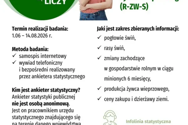 GUS: Badanie pogłowia świń w gminie Nowe Miasto nad Wartą – obowiązkowy spis do 14 sierpnia