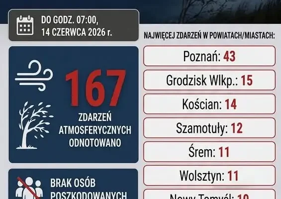 Silny wiatr i opady w Wielkopolsce – strażacy interweniują przy powalonych drzewach i zerwanych liniach