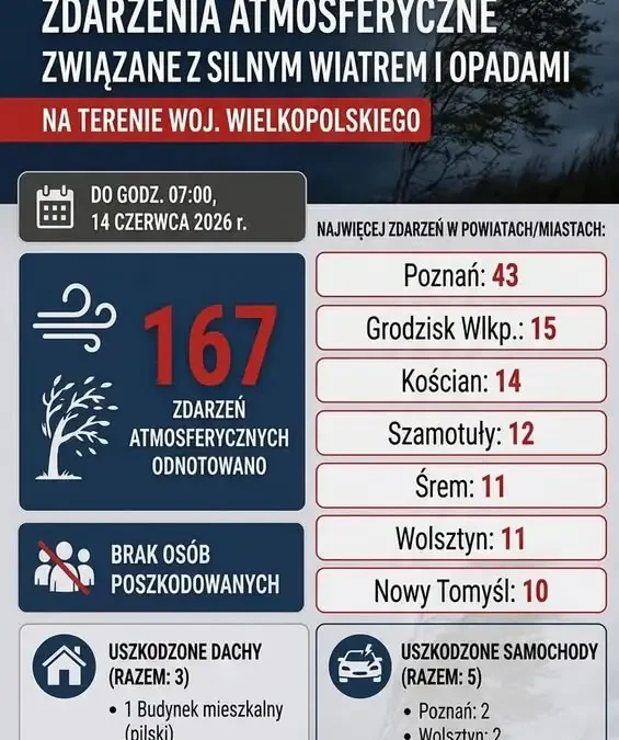 Silny wiatr i opady w Wielkopolsce – strażacy interweniują przy powalonych drzewach i zerwanych liniach