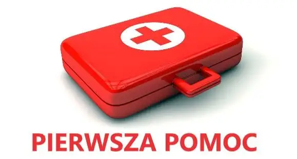 Interwencja ratownictwa medycznego w Pięczkowie