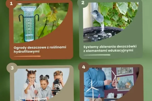 Nawet 100 000 zł dotacji na Ekologiczną Klasę – ruszył nabór wniosków