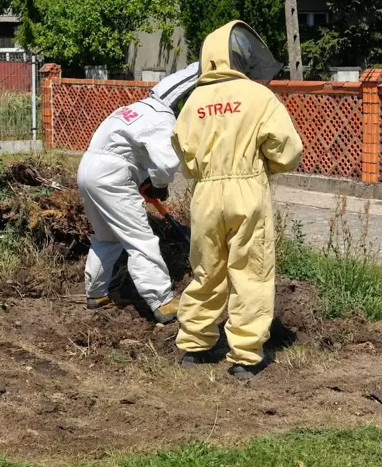OSP Pięczkowo interweniowało przy agresywnych owadach na cmentarzu i fałszywym alarmie pożarowym
