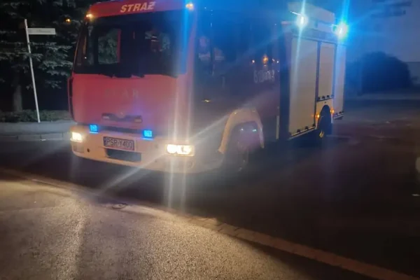 Strażacy z OSP Nowe Miasto nad Wartą usunęli plamę oleju na drodze
