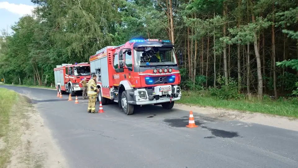 Pożar lasu w Lubonieczku – strażacy z OSP Zaniemyśl w akcji