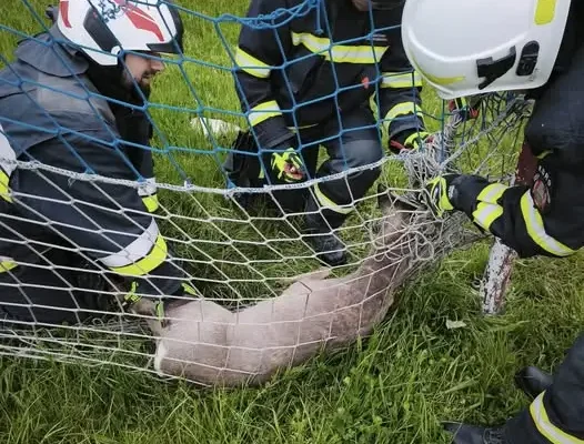 Podsumowanie działań OSP Klęka – od pożarów po pomoc przy powodzi