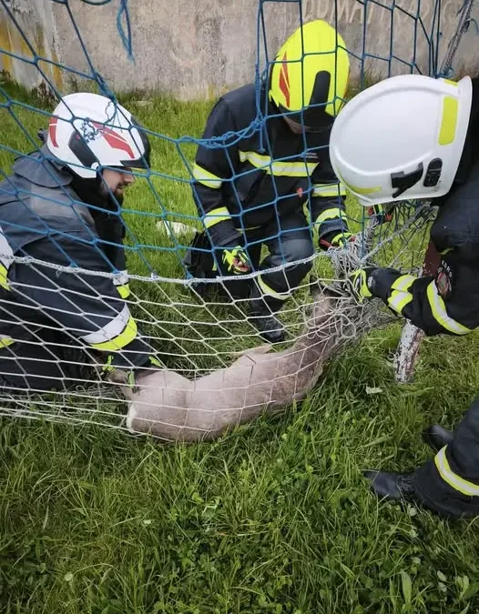 Podsumowanie działań OSP Klęka – od pożarów po pomoc przy powodzi