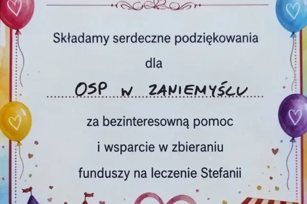 OSP Zaniemyśl wsparła festyn charytatywny dla Stefci