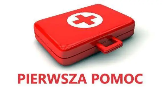 Interwencja ratownictwa medycznego w Pięczkowie
