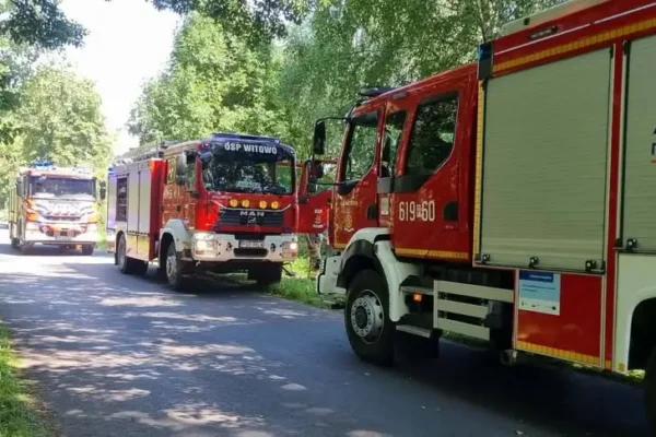 Pożar w Bronisławiu: strażacy z OSP Pięczkowo, Witowo i Krzykosy w akcji