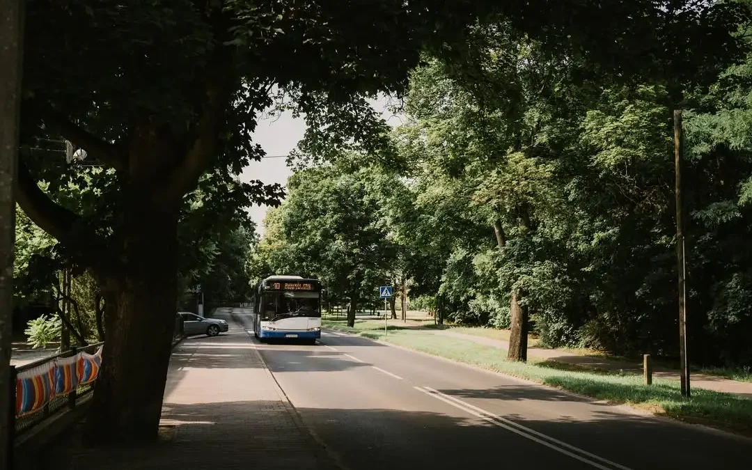 Zaniemyśl zaprasza autobusem: wakacyjna podróż nad Jezioro Raczyńskie