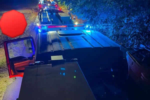 Pożar lasu w Radoszkowie – nocna interwencja strażaków z powiatu śremskiego