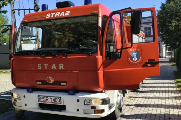 Usuwanie gniazda owadów w Nowym Mieście nad Wartą – interwencja OSP