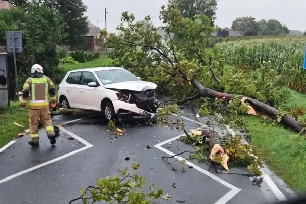 Ponad 280 interwencji strażaków w Wielkopolsce. Ewakuowano obozy harcerskie