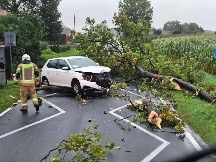 Ponad 280 interwencji strażaków w Wielkopolsce. Ewakuowano obozy harcerskie