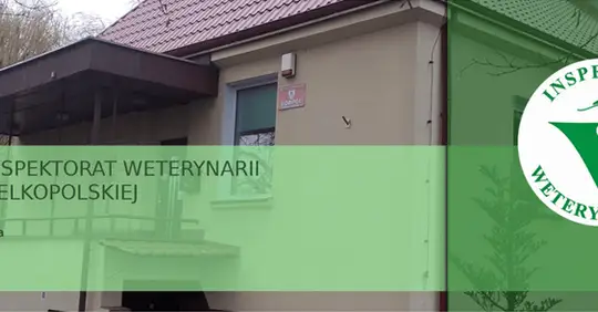 Obowiązkowe szczepienia psów przeciw wściekliźnie – przypomnienie Powiatowego Lekarza Weterynarii w Środzie Wlkp.