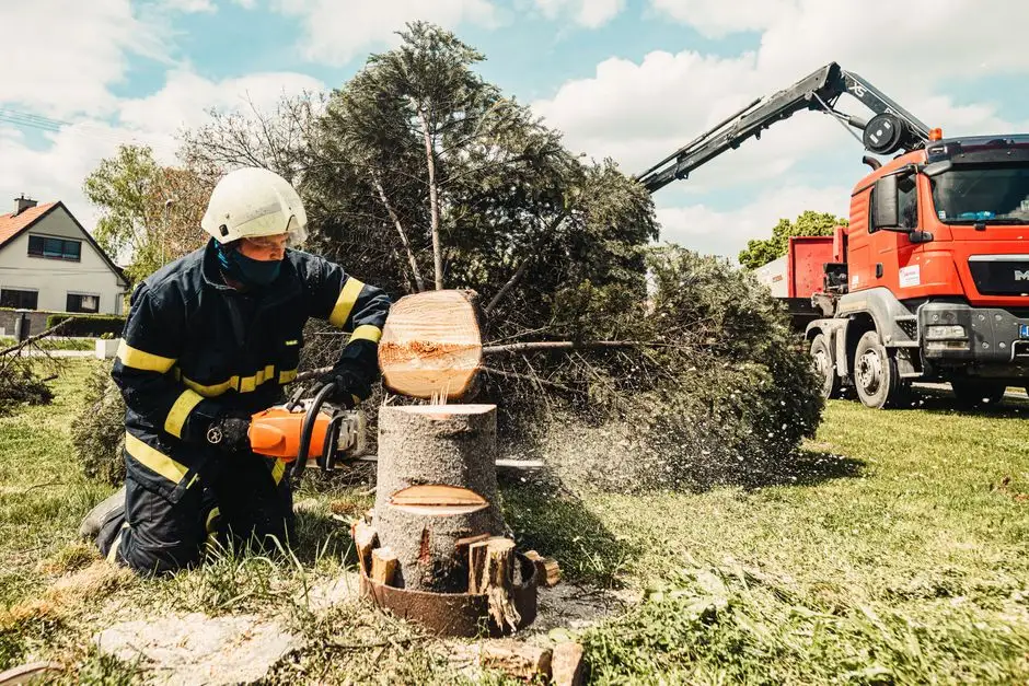 OSP Sulęcinek i Pięczkowo usuwają pochylone drzewo nad drogą w Bogusławkach