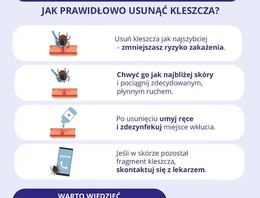 Sezon grzybowy w pełni, ale kleszcze wciąż aktywne. Jak się chronić?