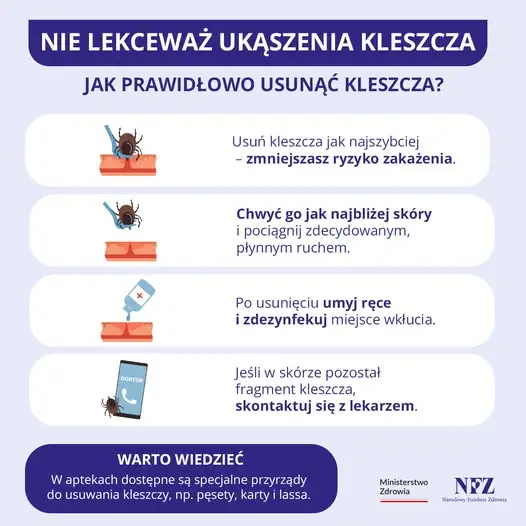 Sezon grzybowy w pełni, ale kleszcze wciąż aktywne. Jak się chronić?