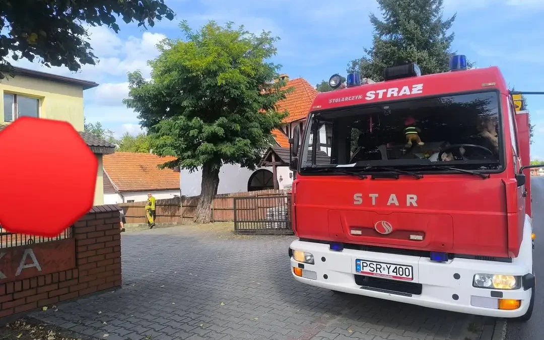 Pożar lasu w Komorzu i usuwanie gniazda owadów – interwencje OSP Nowe Miasto nad Wartą