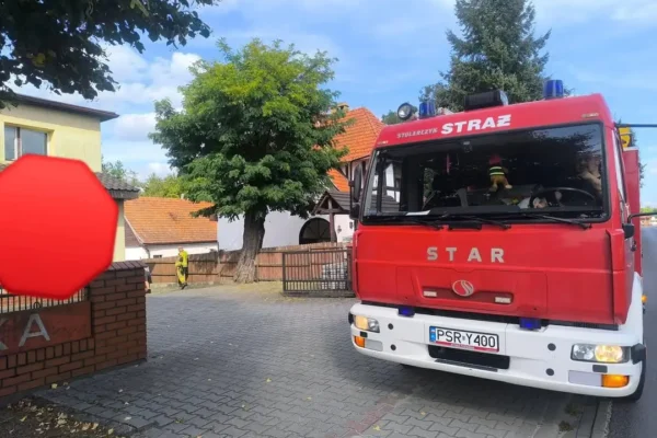 Pożar lasu w Komorzu i usuwanie gniazda owadów – interwencje OSP Nowe Miasto nad Wartą