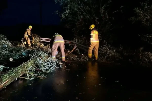 Wichura w Pięczkowie: Strażacy interweniowali dwukrotnie przy powalonych drzewach