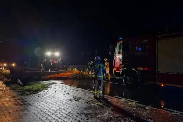 Silny wiatr nad Wielkopolską: 266 interwencji strażaków, w powiecie średzkim 12