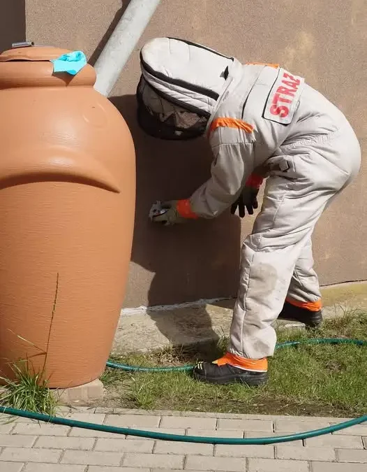 Strażacy z Zaniemyśla usunęli gniazdo agresywnych owadów w szkole w Śnieciskach