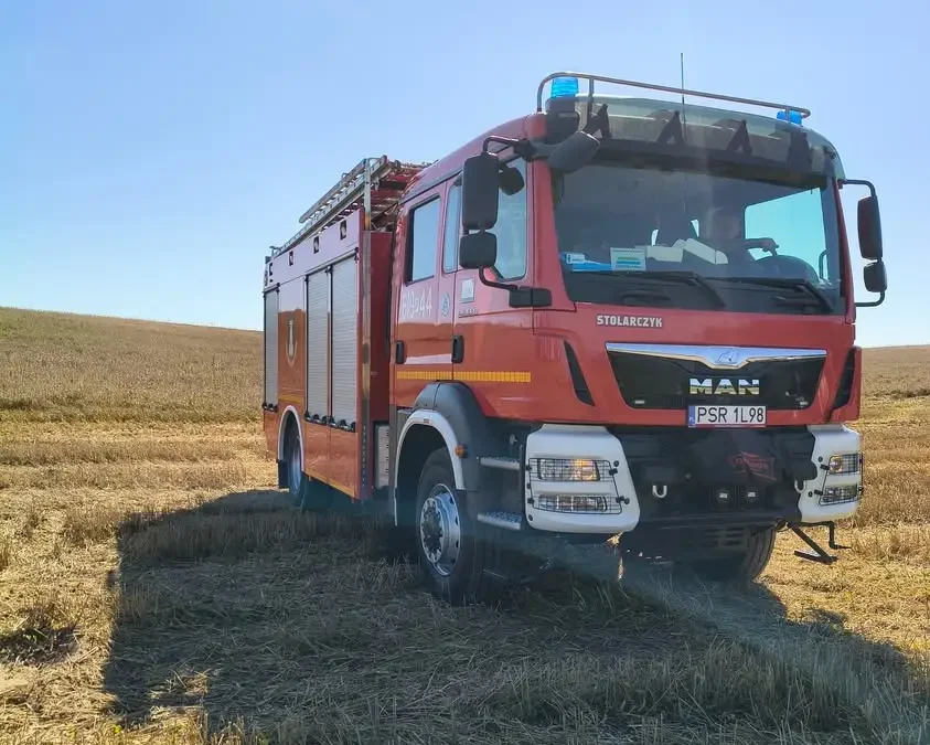 Sarna uwięziona w ogrodzeniu. Interweniowali strażacy z OSP Nowe Miasto nad Wartą