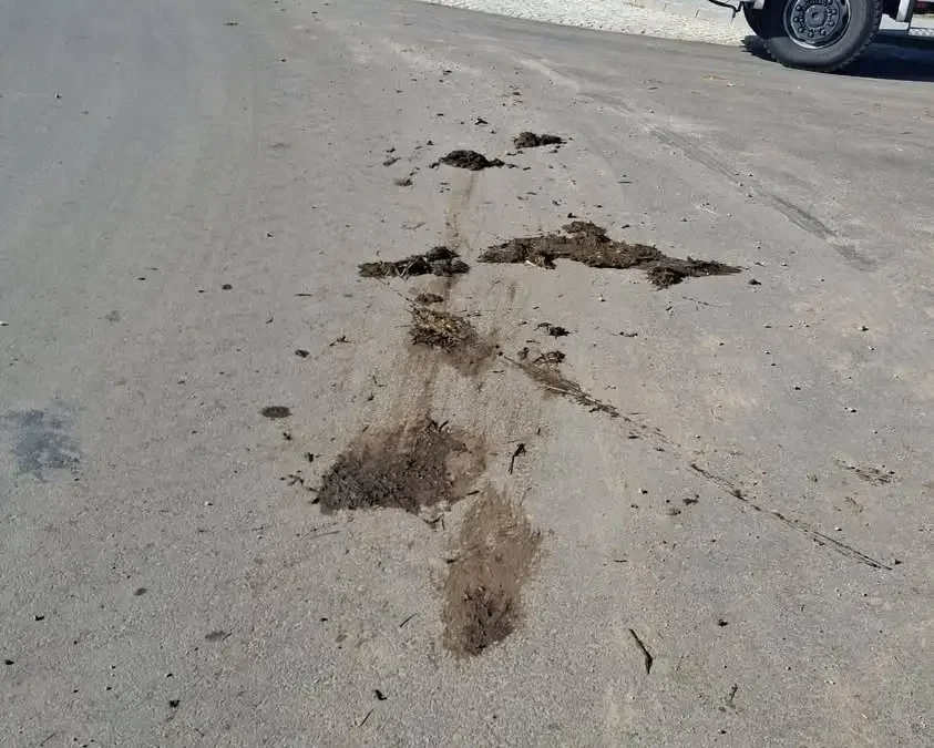 Dwa zdarzenia w gminie Zaniemyśl: rozsypany obornik i wypadek na ul. Poznańskiej