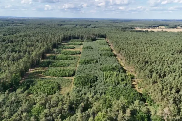Powiat Średzki wydzierżawi nieruchomość w trybie bezprzetargowym