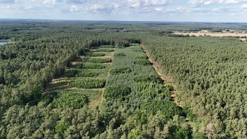 Powiat Średzki wydzierżawi nieruchomość w trybie bezprzetargowym