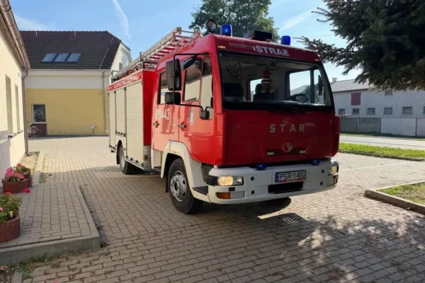 Strażacy z OSP Nowe Miasto nad Wartą usuwali gniazdo agresywnych owadów w Boguszynie