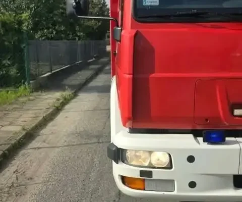 Strażacy z OSP Nowe Miasto nad Wartą usunęli gniazdo owadów błonkoskrzydłych