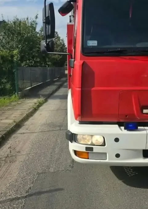 Strażacy z OSP Nowe Miasto nad Wartą usunęli gniazdo owadów błonkoskrzydłych