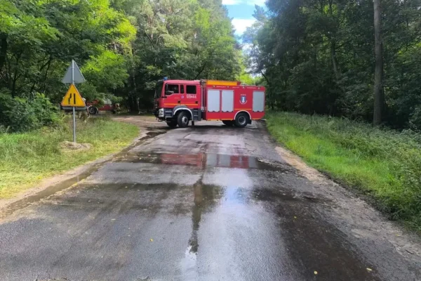 Dziecko zatrzaśnięte w samochodzie w Nowym Mieście nad Wartą. Interwencja strażaków zakończyła się szczęśliwie